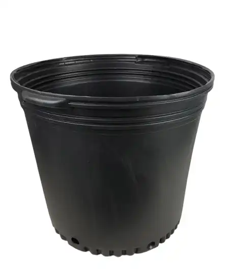 Blow-molded gallon pot